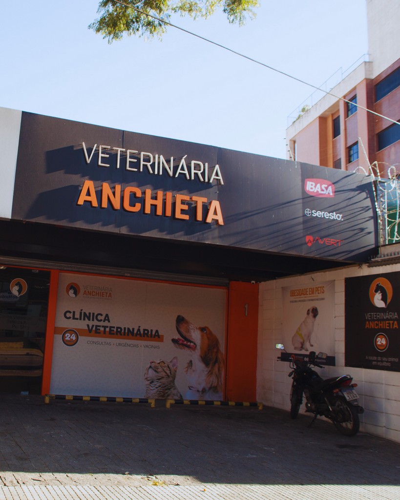 Imagem ilustrativa de Consulta veterinária preço em Belo horizonte