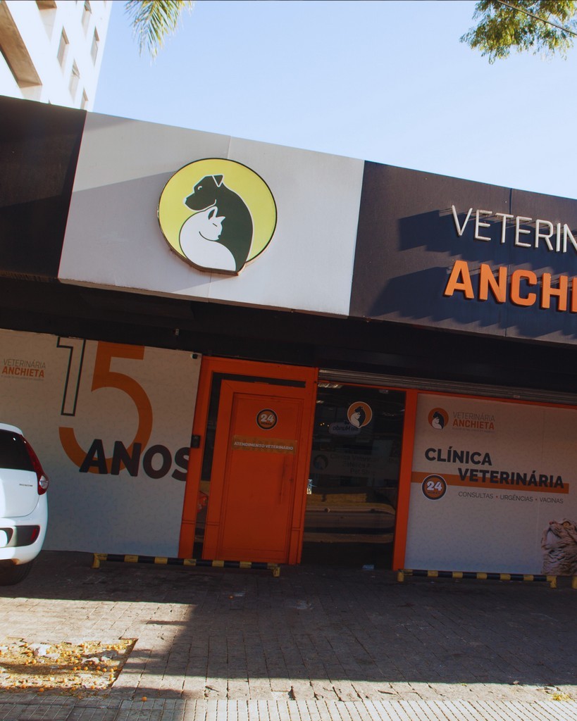 Imagem ilustrativa de Dermatologista veterinário em Belo horizonte